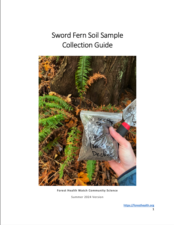 Sword fern field guide